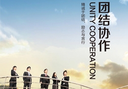 团队
